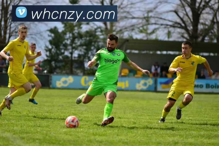 线上买球APP 封面图