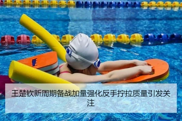 王楚钦新周期备战加量强化反手拧拉质量引发关注